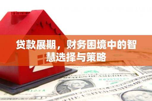 志丹贷款展期，财务困境中的智慧选择与策略