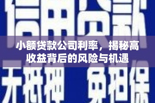 法库小额贷款公司利率，揭秘高收益背后的风险与机遇