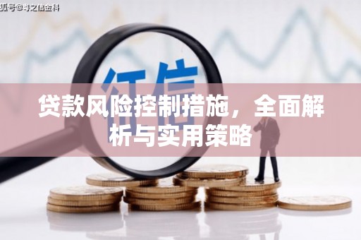 肥东贷款风险控制措施，全面解析与实用策略