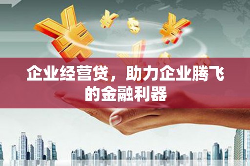 戚墅堰企业经营贷，助力企业腾飞的金融利器