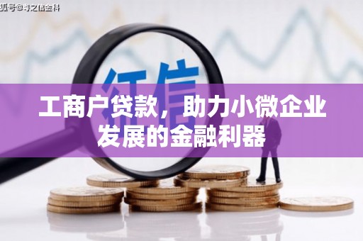 大堂工商户贷款，助力小微企业发展的金融利器