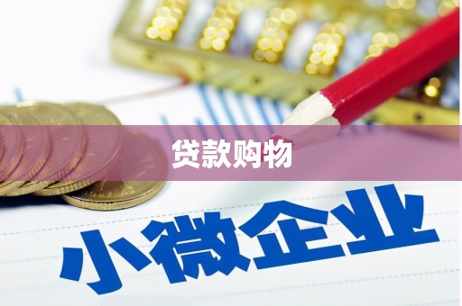 武侯贷款购物
