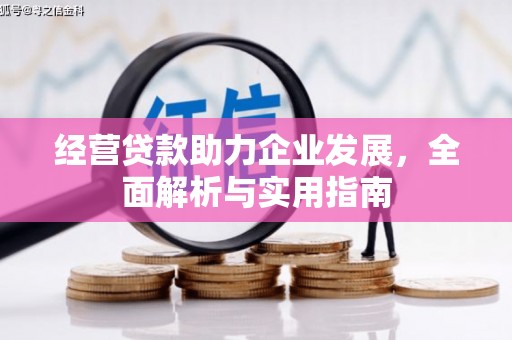 伊吾经营贷款助力企业发展，全面解析与实用指南
