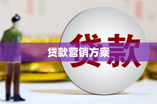芦淞贷款营销方案
