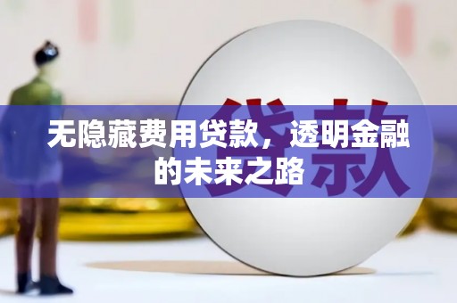 巍山无隐藏费用贷款，透明金融的未来之路