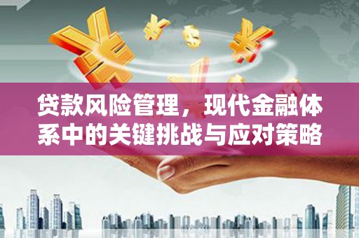 吴堡贷款风险管理，现代金融体系中的关键挑战与应对策略