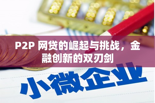 天宁P2P 网贷的崛起与挑战，金融创新的双刃剑