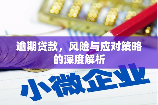 阿勒泰逾期贷款，风险与应对策略的深度解析