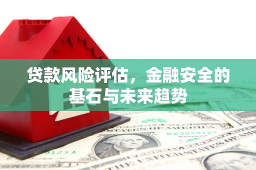 镇原贷款风险评估，金融安全的基石与未来趋势