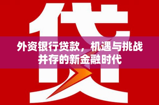 马尔康外资银行贷款，机遇与挑战并存的新金融时代