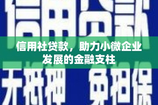 芬园信用社贷款，助力小微企业发展的金融支柱