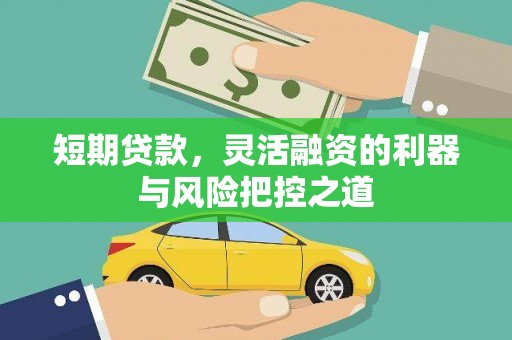 宁夏短期贷款，灵活融资的利器与风险把控之道