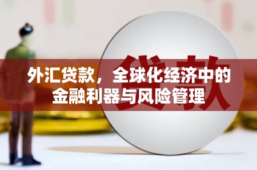秀山外汇贷款，全球化经济中的金融利器与风险管理