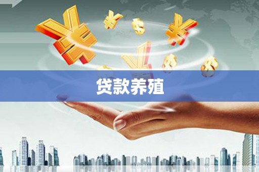 宾川贷款养殖