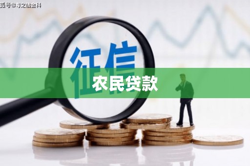苍南农民贷款