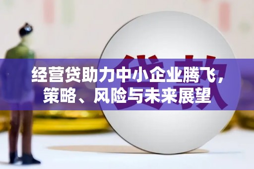 大安经营贷助力中小企业腾飞，策略、风险与未来展望