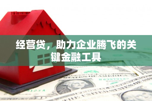泉山经营贷，助力企业腾飞的关键金融工具