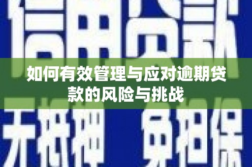 高要如何有效管理与应对逾期贷款的风险与挑战