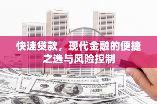 维西快速贷款，现代金融的便捷之选与风险控制