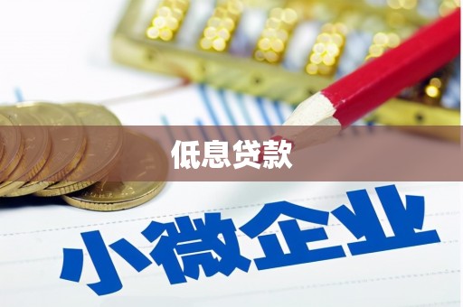 汝南低息贷款
