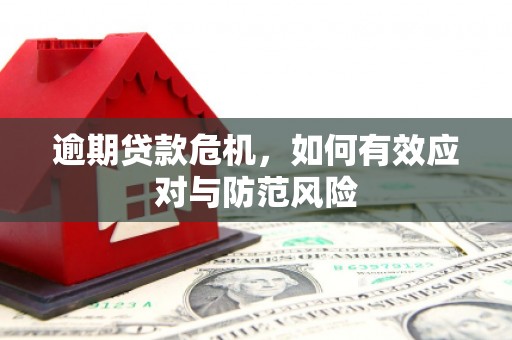 吴桥逾期贷款危机，如何有效应对与防范风险