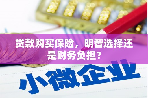 东明贷款购买保险，明智选择还是财务负担？