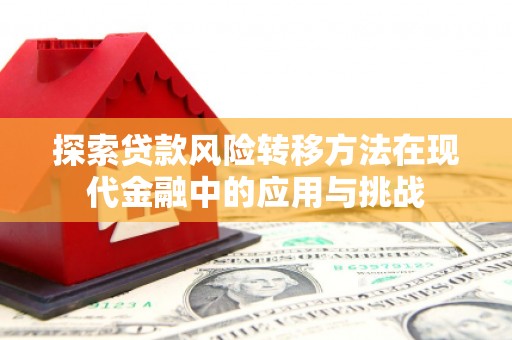 高阳探索贷款风险转移方法在现代金融中的应用与挑战