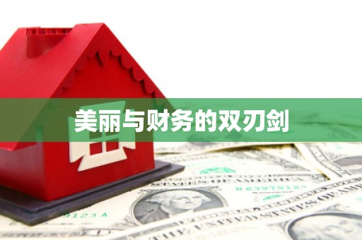 宁江美丽与财务的双刃剑