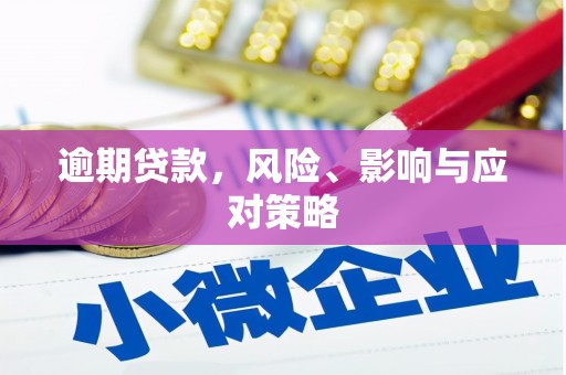 鄂伦春逾期贷款，风险、影响与应对策略