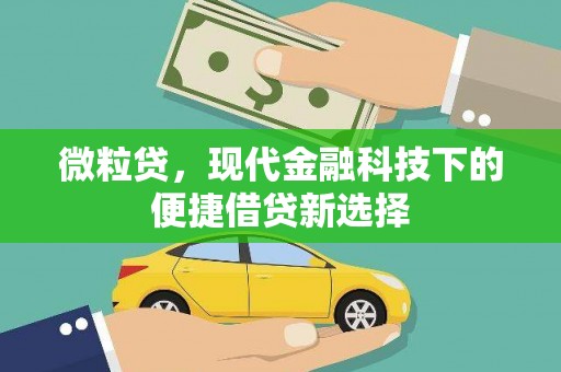 正宁微粒贷，现代金融科技下的便捷借贷新选择