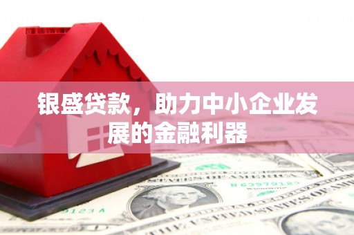 龙文银盛贷款，助力中小企业发展的金融利器