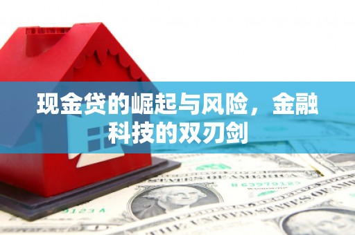文县现金贷的崛起与风险，金融科技的双刃剑
