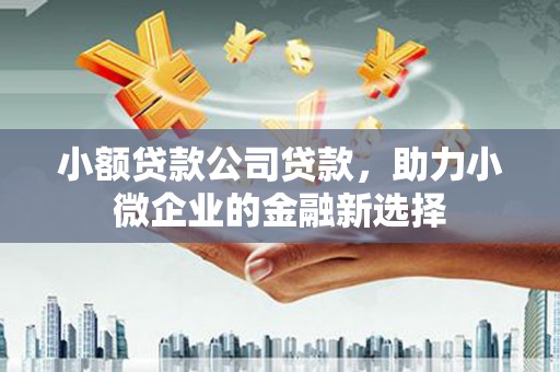 天宁小额贷款公司贷款，助力小微企业的金融新选择