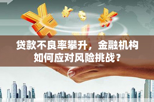 西林贷款不良率攀升，金融机构如何应对风险挑战？