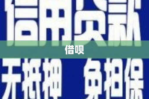 林园借呗