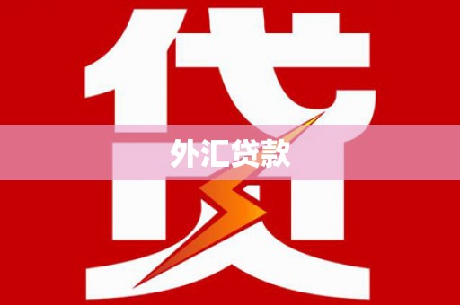 东营外汇贷款