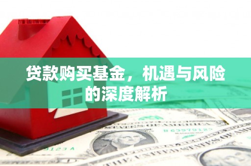 乐都贷款购买基金，机遇与风险的深度解析
