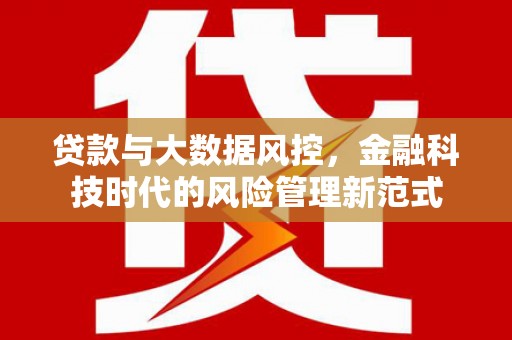 乡城贷款与大数据风控，金融科技时代的风险管理新范式