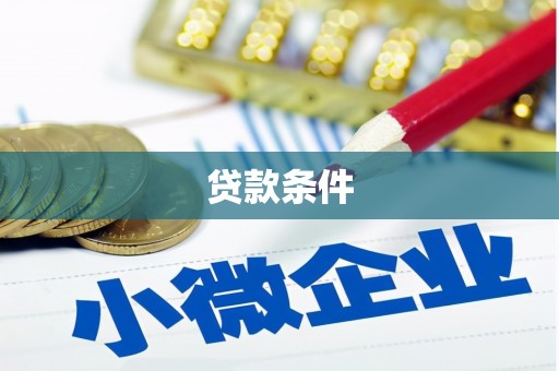二水贷款条件