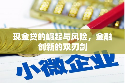 瑞穗现金贷的崛起与风险，金融创新的双刃剑