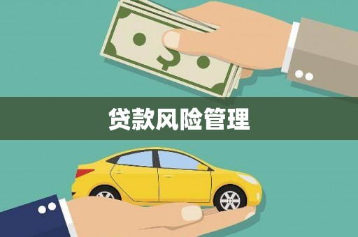 南康贷款风险管理