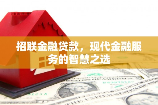 普湾新区招联金融贷款，现代金融服务的智慧之选