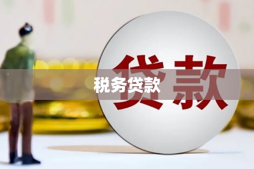 善化税务贷款