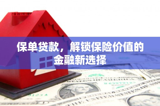 毕节保单贷款，解锁保险价值的金融新选择