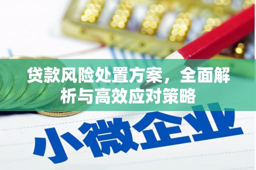 馆陶贷款风险处置方案，全面解析与高效应对策略