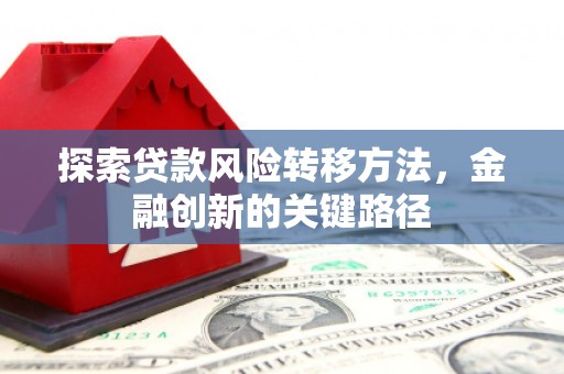 云龙探索贷款风险转移方法，金融创新的关键路径