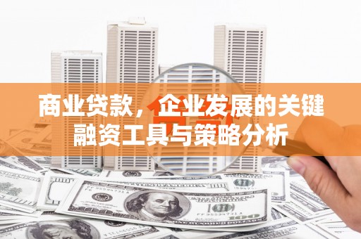 东营商业贷款，企业发展的关键融资工具与策略分析