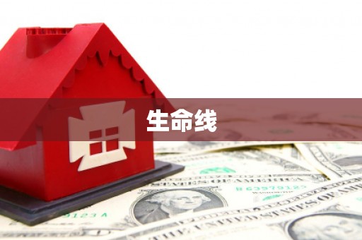 东乡生命线