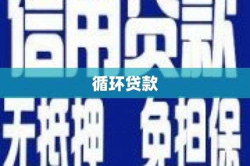 东区循环贷款