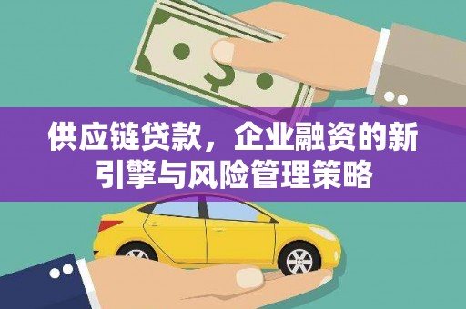 武功供应链贷款，企业融资的新引擎与风险管理策略